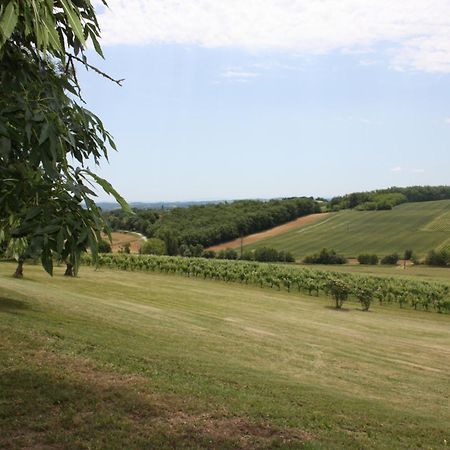 Domaine De Perches Bed & Breakfast Gaillac Dış mekan fotoğraf