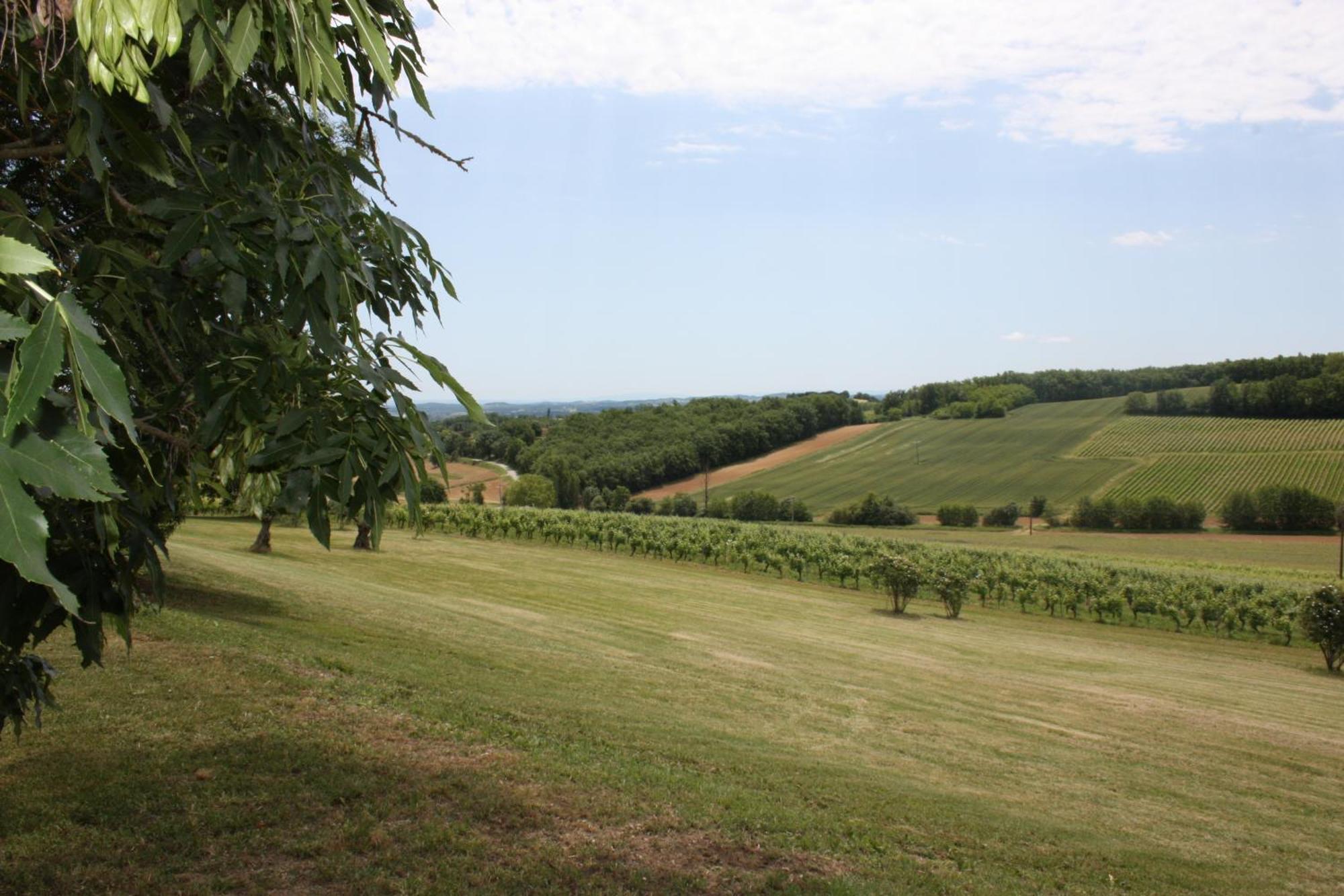 Domaine De Perches Bed & Breakfast Gaillac Dış mekan fotoğraf